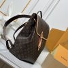 LV Flaneur Backpack M29295 BC