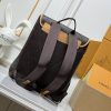 LV Flaneur Backpack M29295 BC