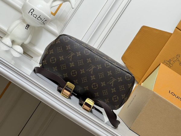 LV Flaneur Backpack M29295 BC