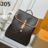 LV Flaneur Backpack M29295 BC