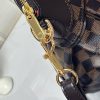 LV Damier Ébène Trevi PM Bag N51997 BC