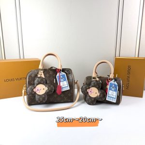 LV Speedy Soft Bag M46222-1 BC