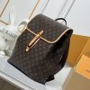 LV Flaneur Backpack M29295 BC