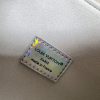 LV Pochette Accessories Holographic Silver Bag M51980 BC