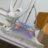 LV Diane Holographic Silver Bag M45985 BC